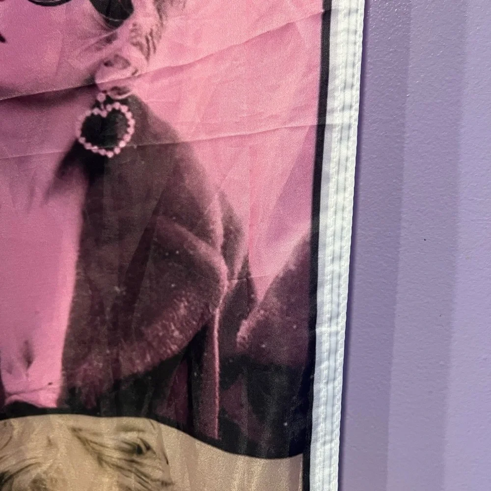 Taylor Swift The Eras Tour 3’x5’ wall Tapestry